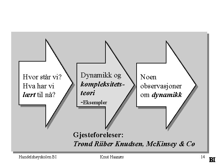 Hvor står vi? Hva har vi lært til nå? Dynamikk og kompleksitetsteori -Eksempler Noen