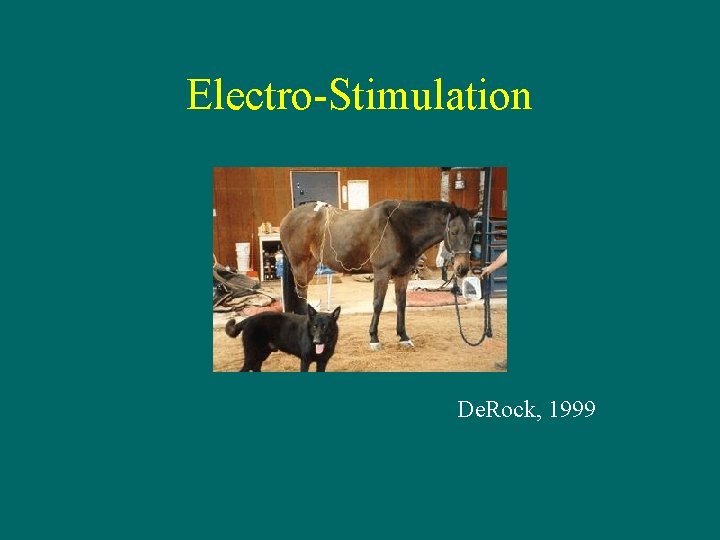 Electro-Stimulation De. Rock, 1999 