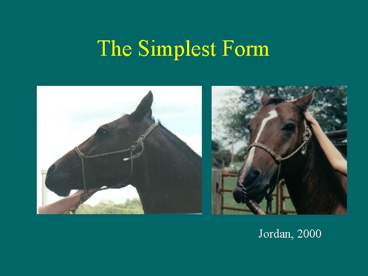 The Simplest Form Jordan, 2000 