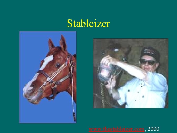 Stableizer www. thestableizer. com, 2000 