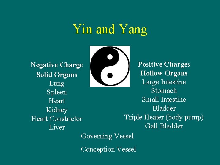 Yin and Yang Positive Charges Negative Charge Hollow Organs Solid Organs Large Intestine Lung