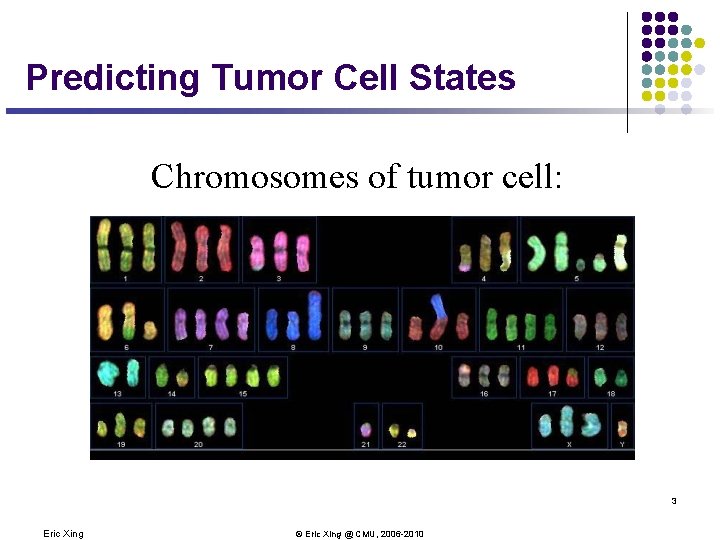 Predicting Tumor Cell States Chromosomes of tumor cell: 3 Eric Xing © Eric Xing