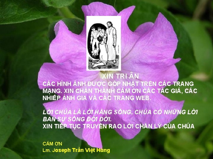 XIN TRI N CÁC HÌNH ẢNH ĐƯỢC GÓP NHẶT TRÊN CÁC TRANG MẠNG. XIN