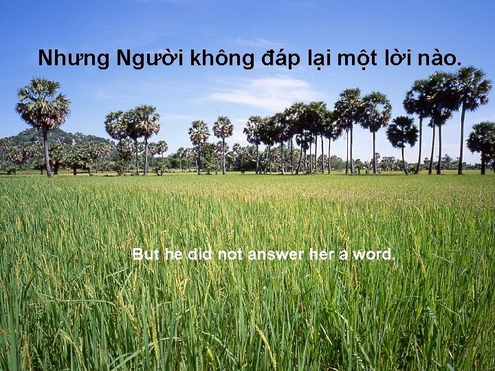 Nhưng Người không đáp lại một lời nào. But he did not answer her