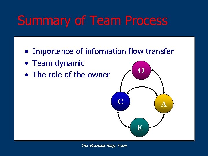 Summary of Team Process • Importance of information flow transfer • Team dynamic O