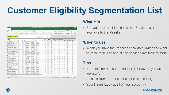 Customer Eligibility Segmentation List What it is • Spreadsheet that identifies which Services are