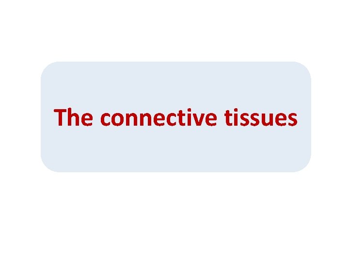The connective tissues 