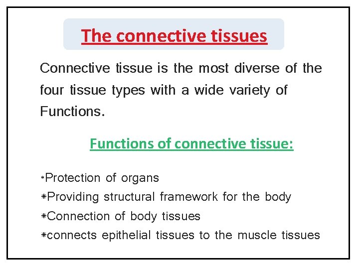 The connective tissues Connective tissue is the most diverse of the four tissue types