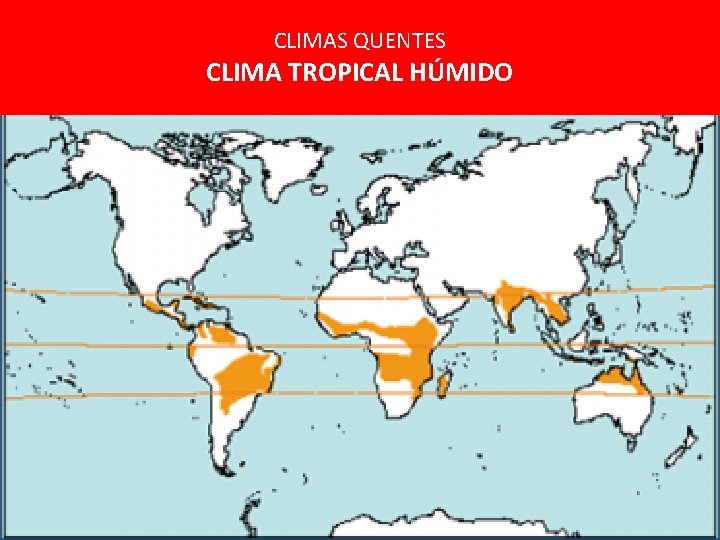 CLIMAS QUENTES CLIMA TROPICAL HÚMIDO CLIMAS QUENTES CLIMA TROPICAL HÚMIDO