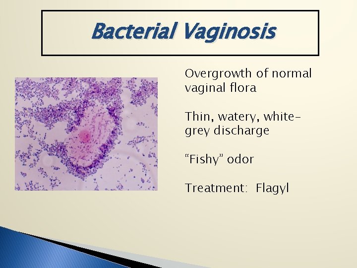 Bacterial Vaginosis Overgrowth of normal vaginal flora Thin, watery, whitegrey discharge “Fishy” odor Treatment: