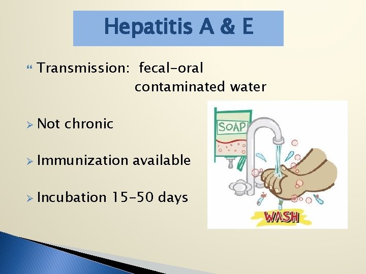 Hepatitis A & E Transmission: fecal-oral contaminated water Ø Not chronic Ø Immunization Ø