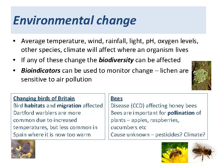 Environmental change • Average temperature, wind, rainfall, light, p. H, oxygen levels, other species,
