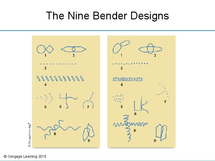 The Nine Bender Designs © Cengage Learning 2016 
