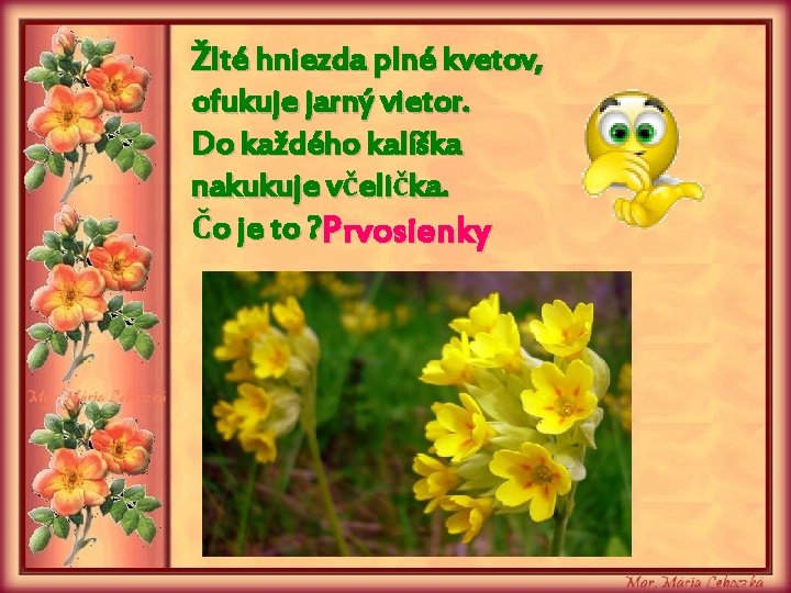 Žlté hniezda plné kvetov, ofukuje jarný vietor. Do každého kalíška nakukuje včelička. Čo je