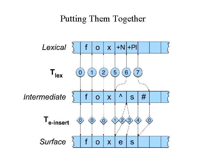 Putting Them Together 