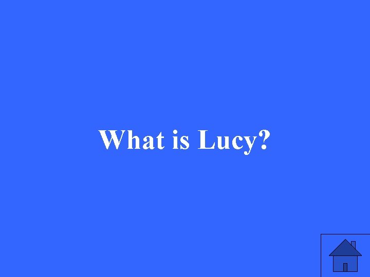 What is Lucy? 