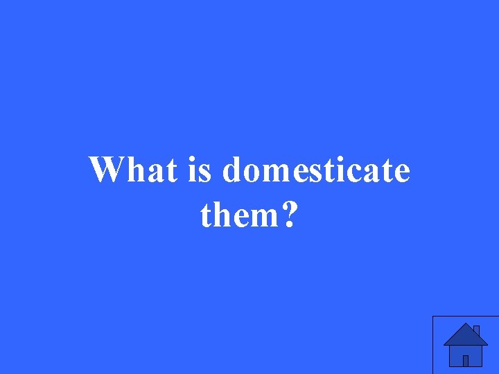 What is domesticate them? 