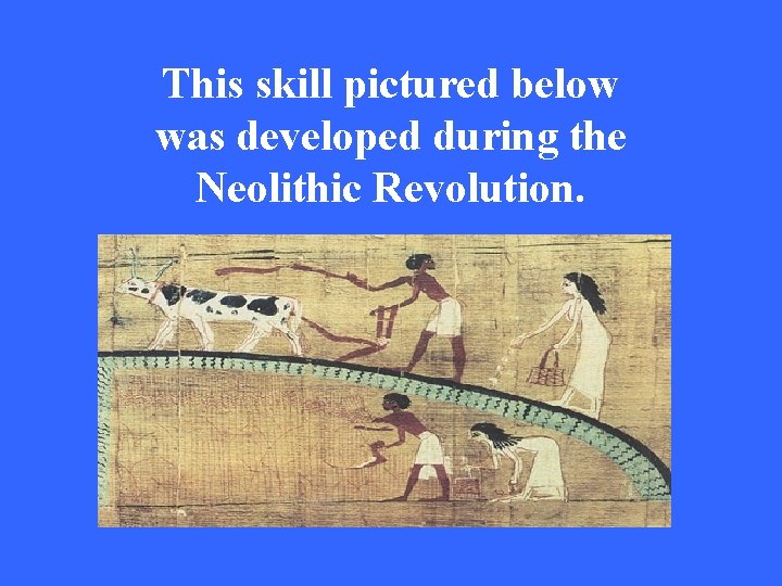 This skill pictured below was developed during the Neolithic Revolution. 