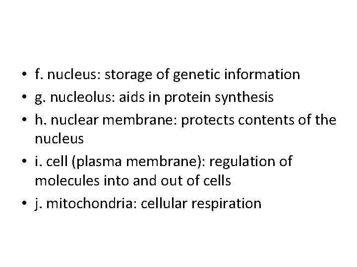  • f. nucleus: storage of genetic information • g. nucleolus: aids in protein