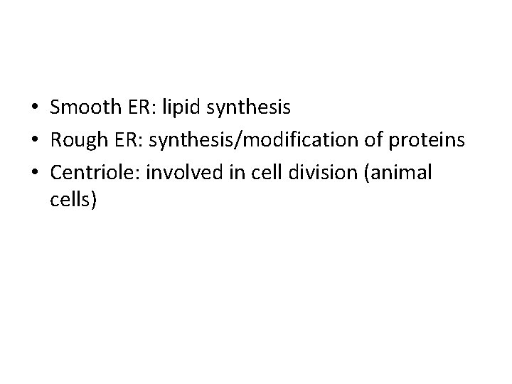  • Smooth ER: lipid synthesis • Rough ER: synthesis/modification of proteins • Centriole: