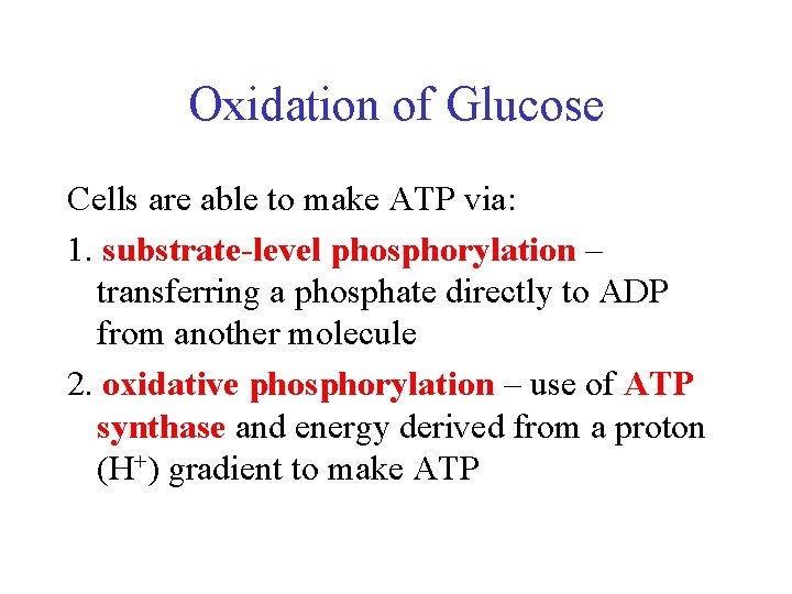 Oxidation of Glucose Cells are able to make ATP via: 1. substrate-level phosphorylation –