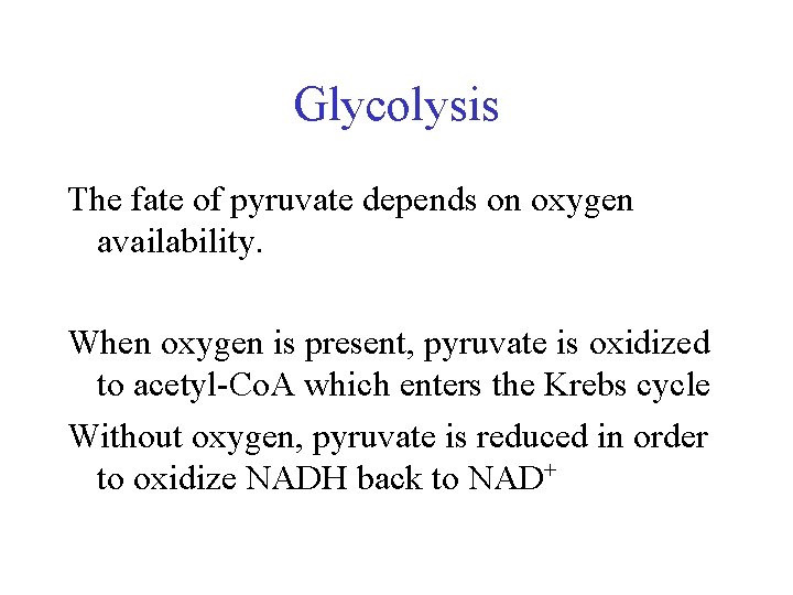 Glycolysis The fate of pyruvate depends on oxygen availability. When oxygen is present, pyruvate