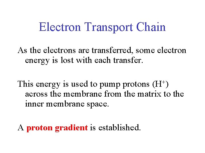 Electron Transport Chain As the electrons are transferred, some electron energy is lost with