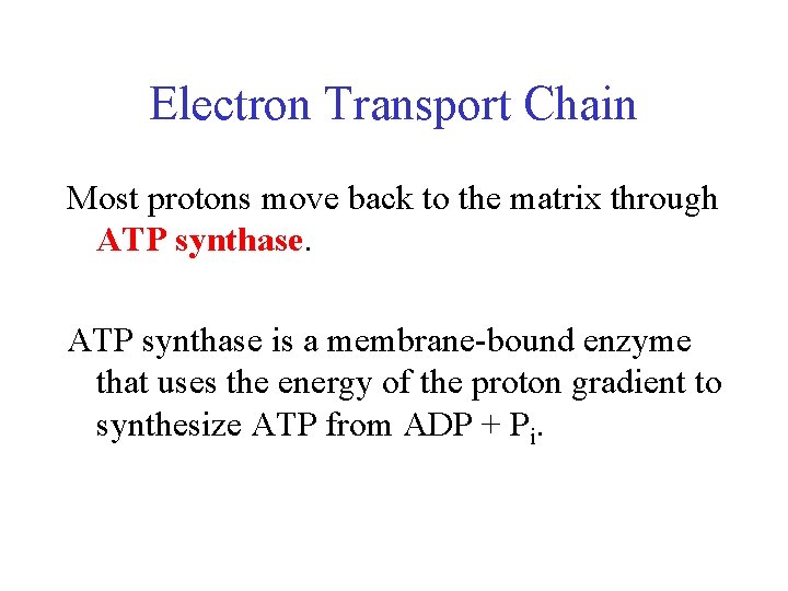 Electron Transport Chain Most protons move back to the matrix through ATP synthase is