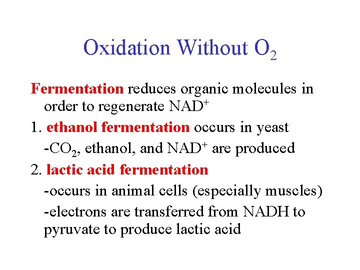 Oxidation Without O 2 Fermentation reduces organic molecules in order to regenerate NAD+ 1.