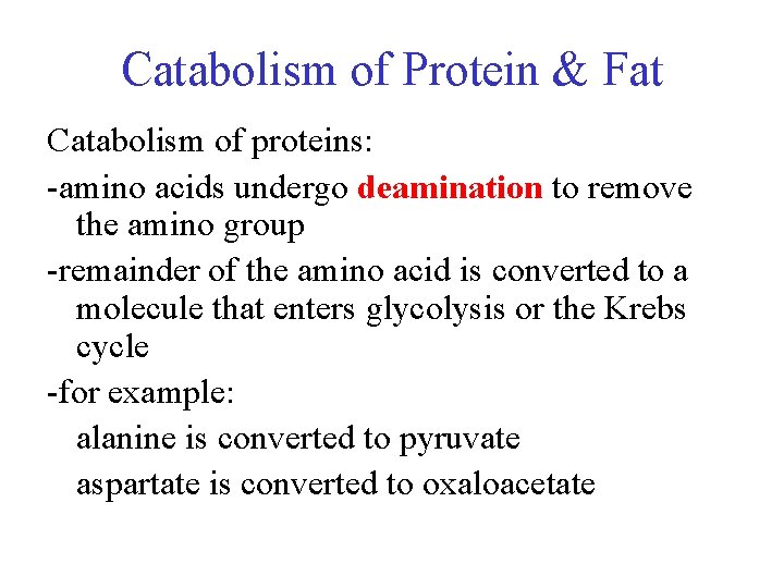 Catabolism of Protein & Fat Catabolism of proteins: -amino acids undergo deamination to remove
