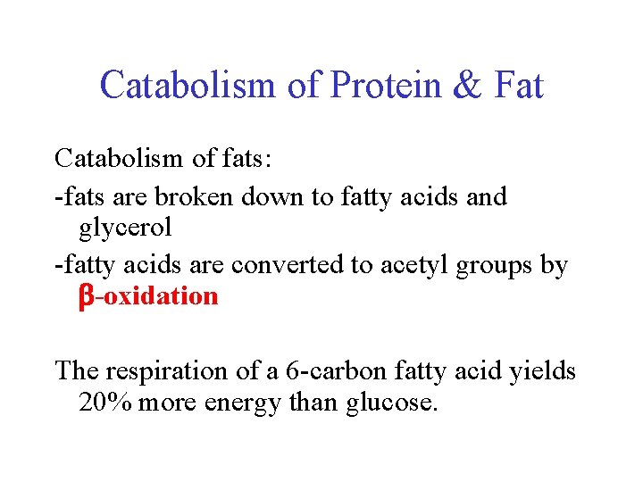 Catabolism of Protein & Fat Catabolism of fats: -fats are broken down to fatty