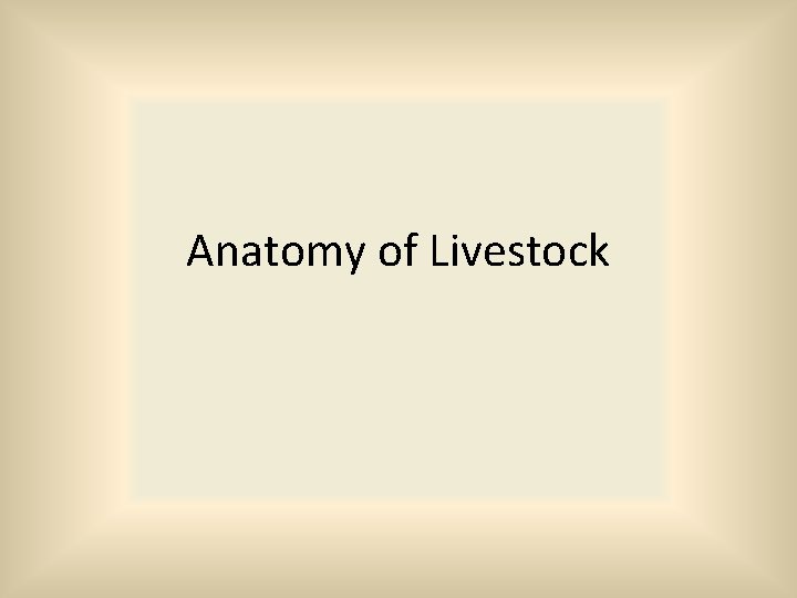 Anatomy of Livestock 