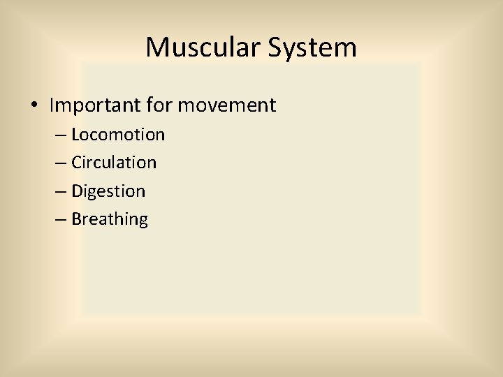 Muscular System • Important for movement – Locomotion – Circulation – Digestion – Breathing