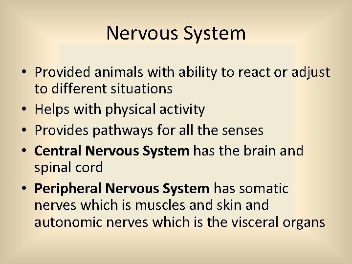 Nervous System • Provided animals with ability to react or adjust to different situations