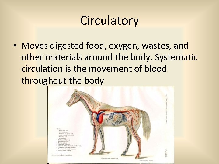 Circulatory • Moves digested food, oxygen, wastes, and other materials around the body. Systematic