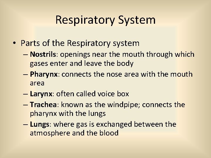 Respiratory System • Parts of the Respiratory system – Nostrils: openings near the mouth