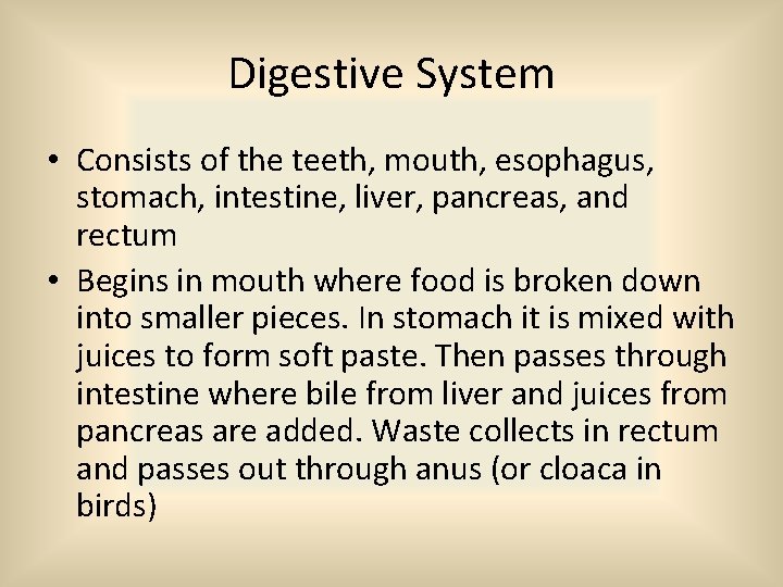 Digestive System • Consists of the teeth, mouth, esophagus, stomach, intestine, liver, pancreas, and