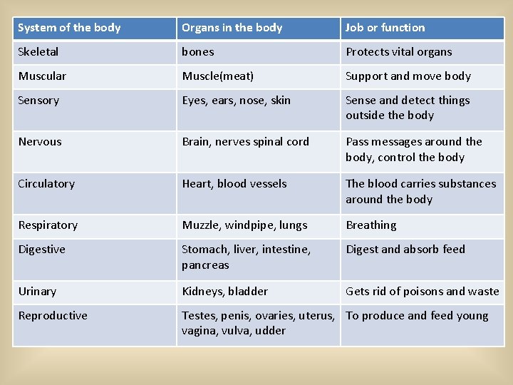 System of the body Organs in the body Job or function Skeletal bones Protects