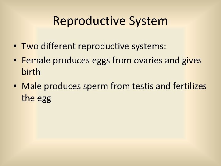 Reproductive System • Two different reproductive systems: • Female produces eggs from ovaries and