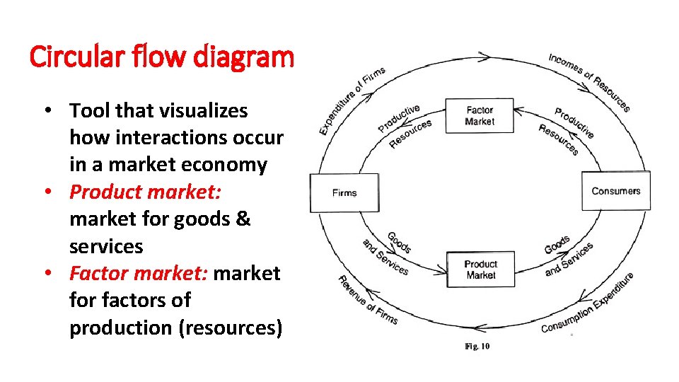 Circular flow diagram • Tool that visualizes how interactions occur in a market economy