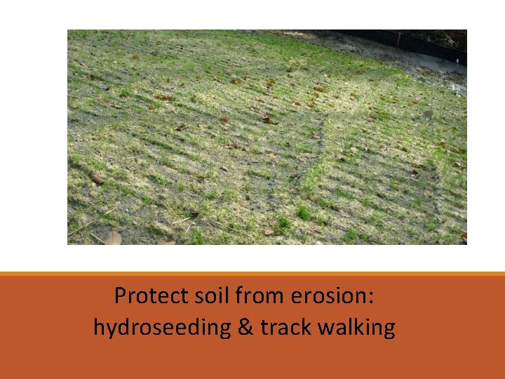 Protect soil from erosion: hydroseeding & track walking 