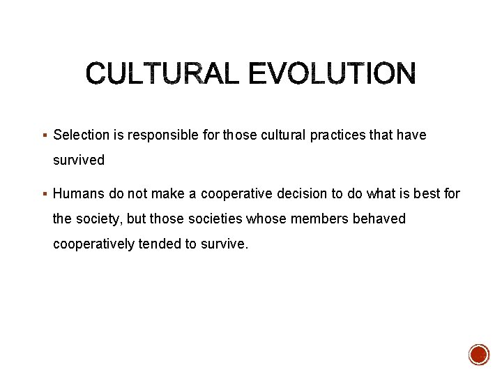 § Selection is responsible for those cultural practices that have survived § Humans do