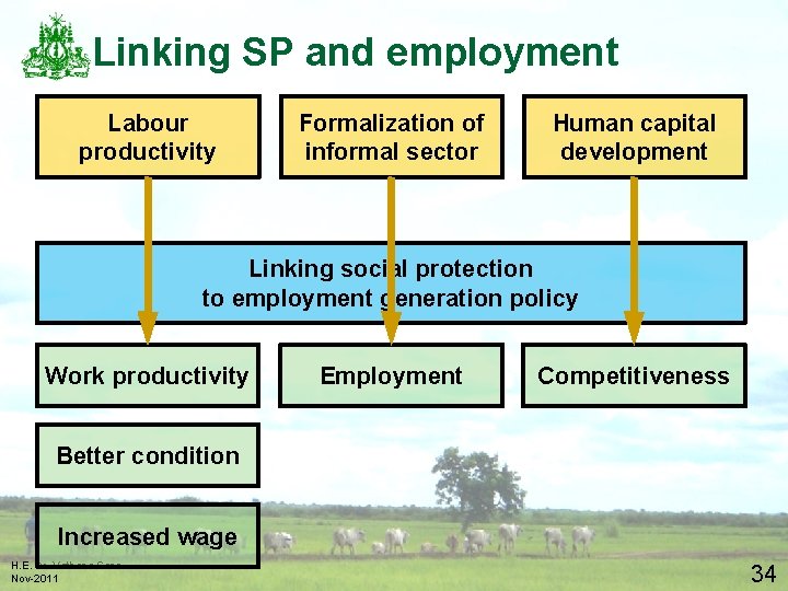 Linking SP and employment Labour productivity Formalization of informal sector Human capital development Linking
