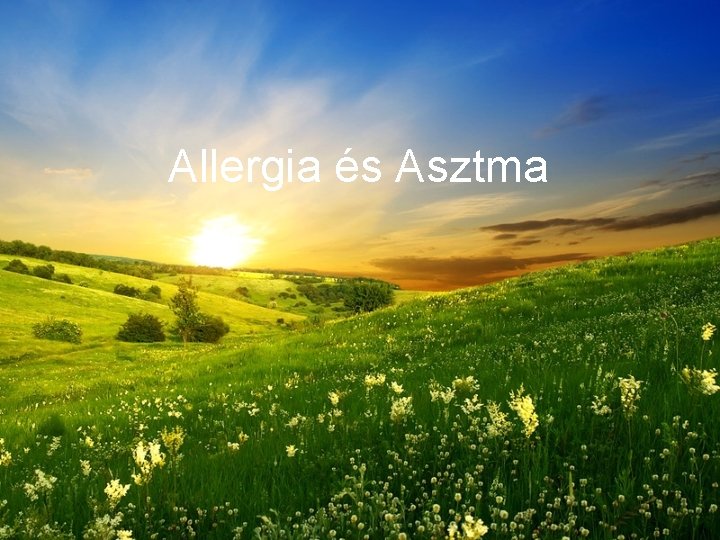 Allergia és Asztma 