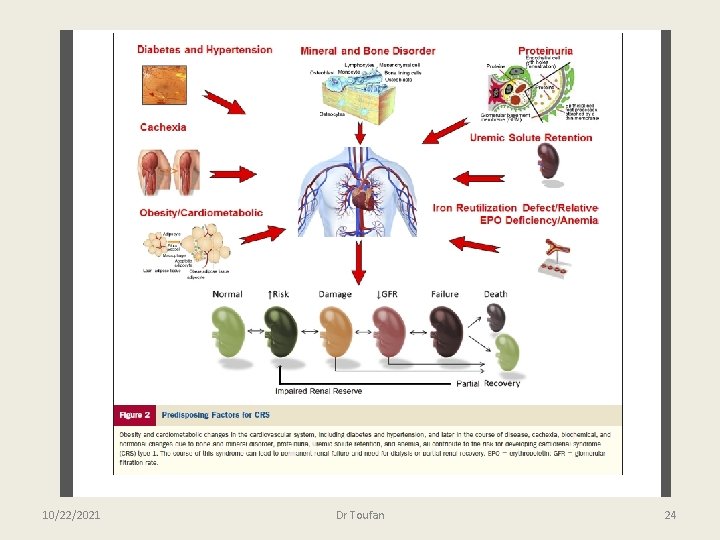 10/22/2021 Dr Toufan 24 