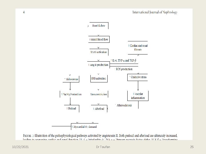 10/22/2021 Dr Toufan 25 