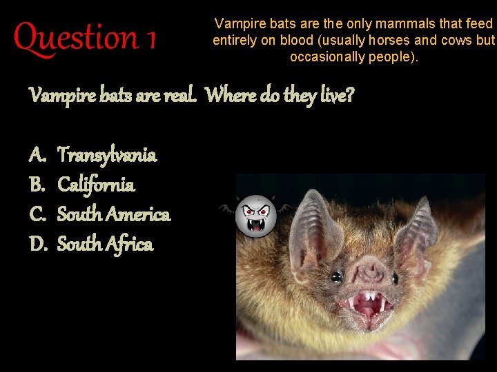 Question 1 Vampire bats are the only mammals that feed entirely on blood (usually