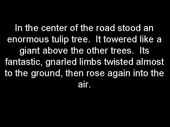 In the center of the road stood an enormous tulip tree. It towered like