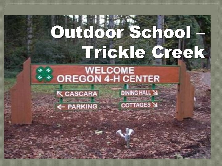 Outdoor School – Trickle Creek 