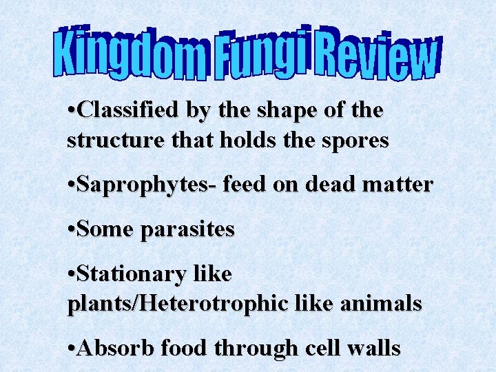  • Classified by the shape of the structure that holds the spores •